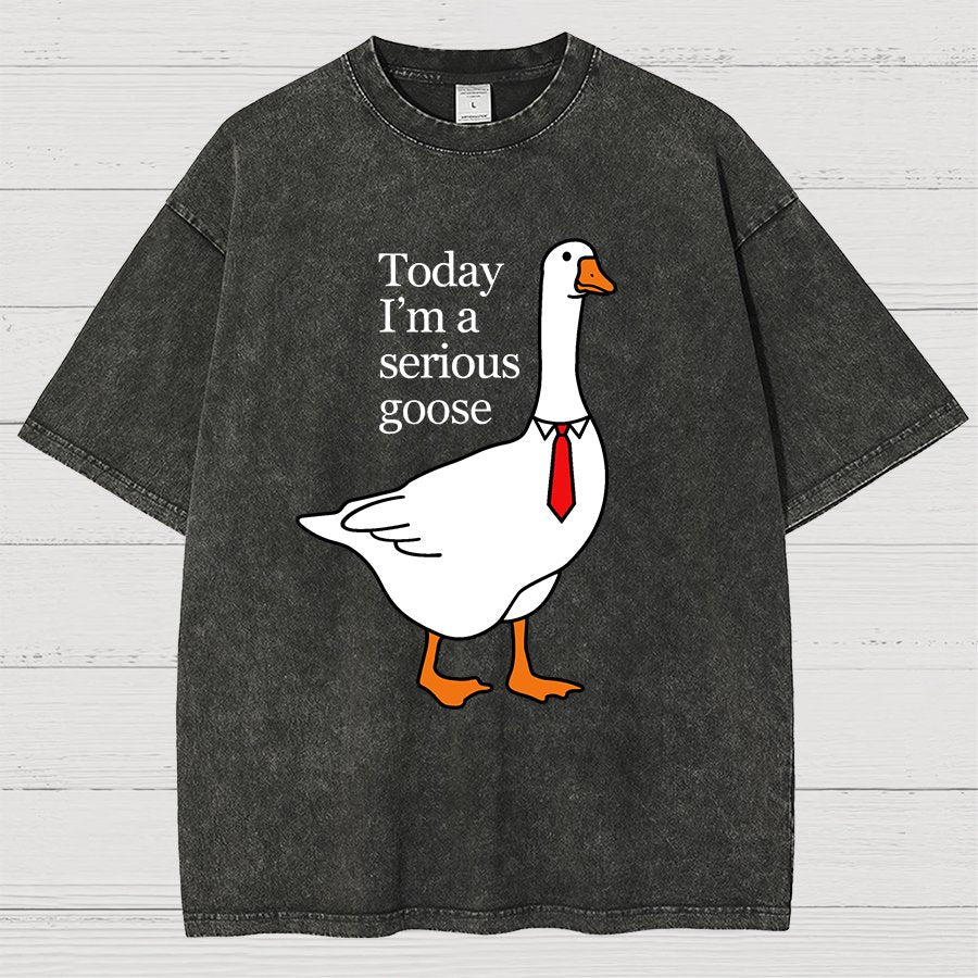Today I'm A Serious Goose Vintage Distressed T-shirt