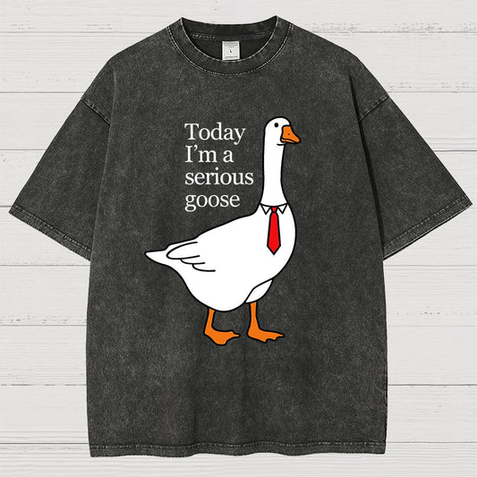 Today I'm A Serious Goose Vintage Distressed T-shirt