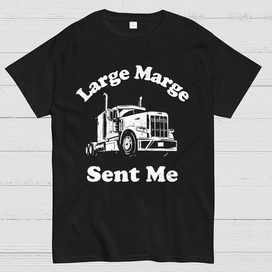 Mysterious Lady Sent Me Geek T-Shirt