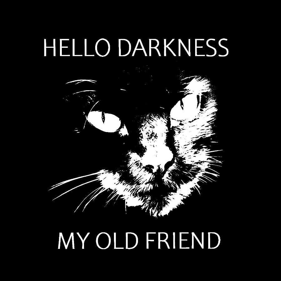 Hello Darkness My Old Friend Geeky T-Shirt