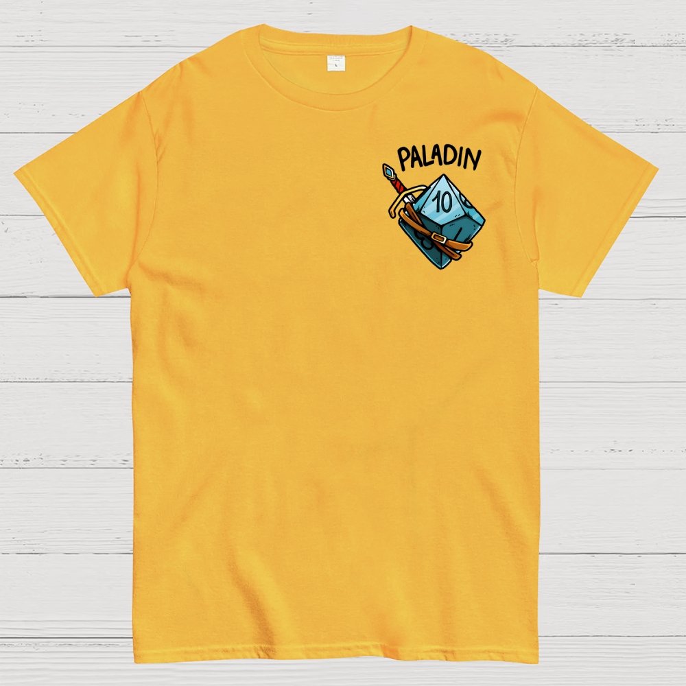 Paladin Dice Front And Back Printing Geek T-Shirt