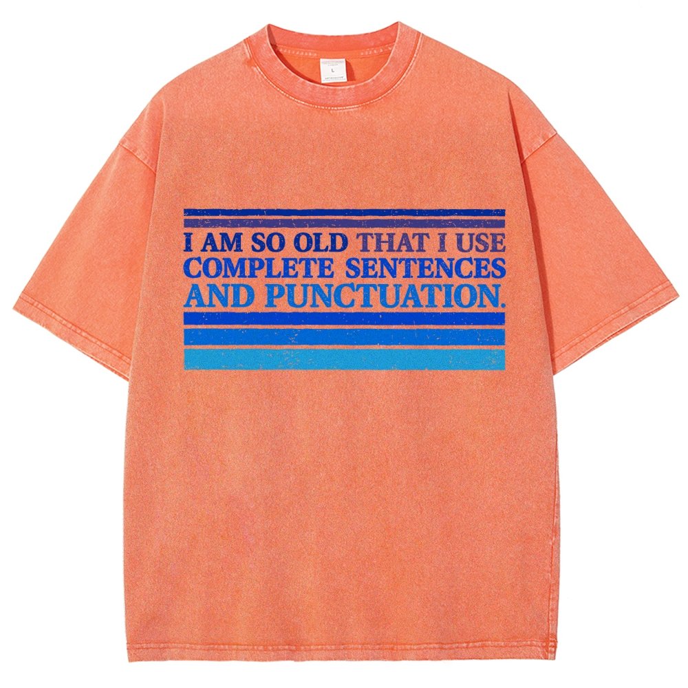 Complete Sentences and Punctuation Vintage Distressed T-shirt