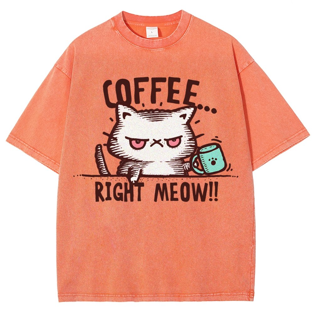 CATffeine Vintage Distressed T-shirt