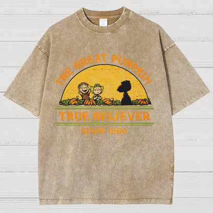 True Believer Since 1966 .Vintage Distressed T-shirt