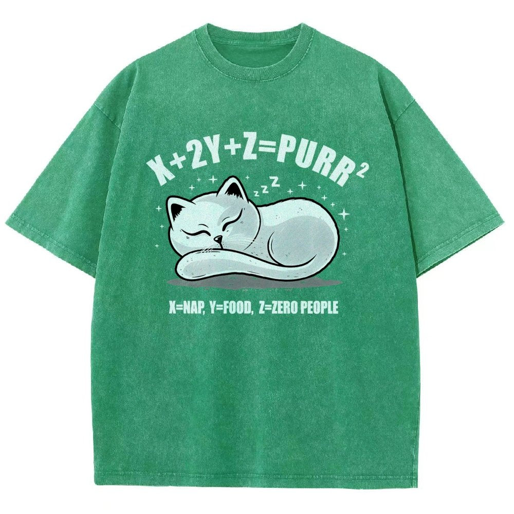 Purrfect Equation Vintage Distressed T-shirt