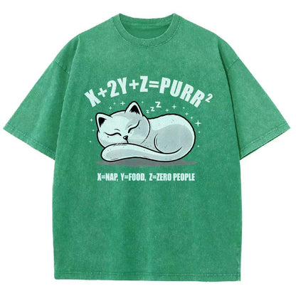 Purrfect Equation Vintage Distressed T-shirt