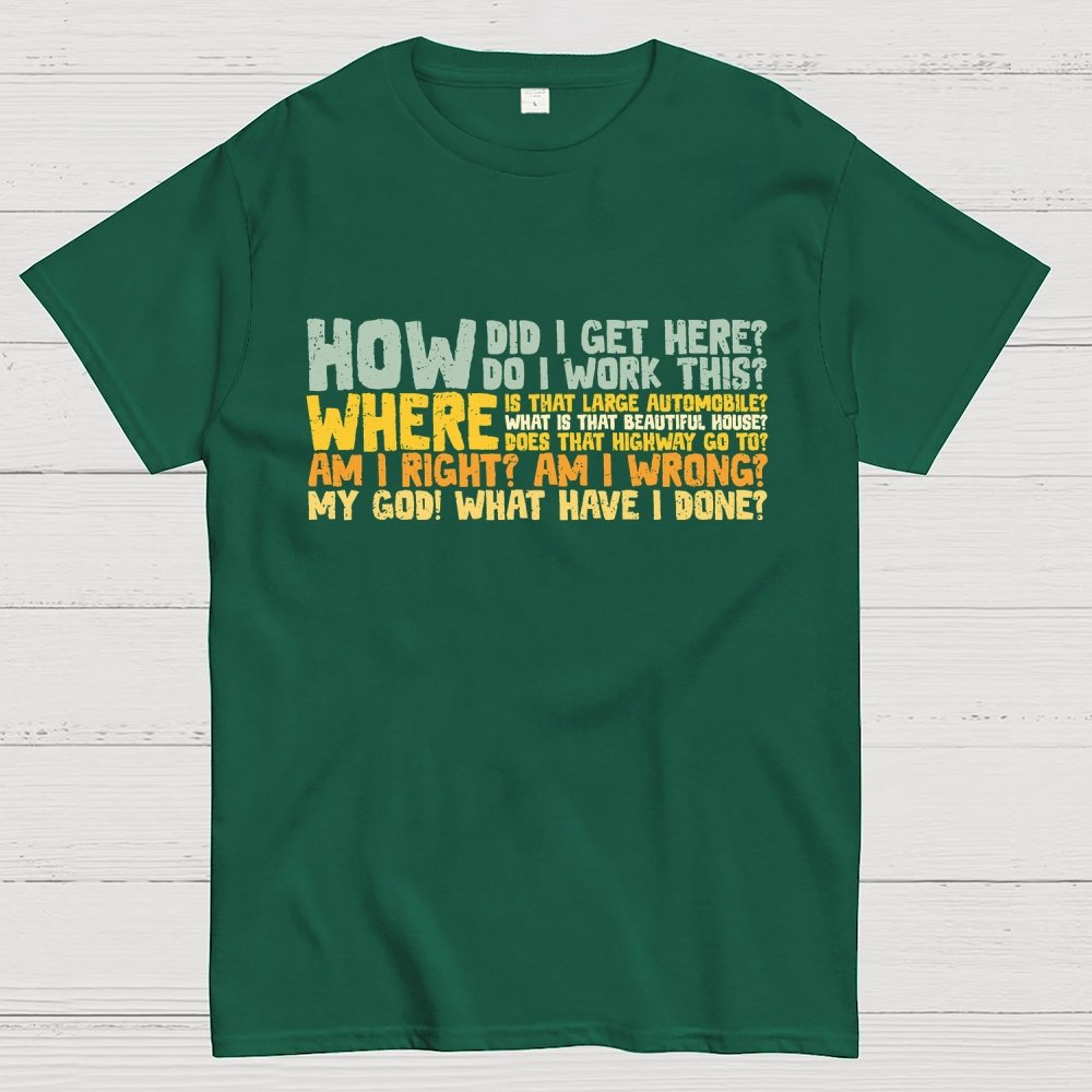 How Did I Get Here? Geek T-Shirt