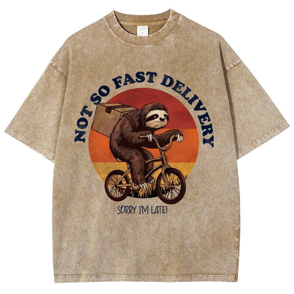 Not So Express Delivery Vintage Distressed T-shirt