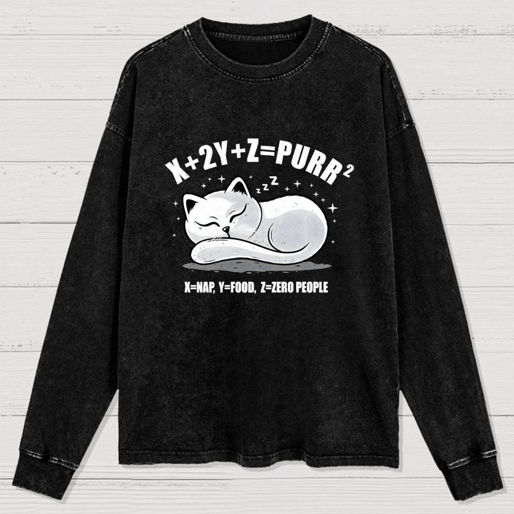 Purrfect Equation Washed Long Sleeve Tee