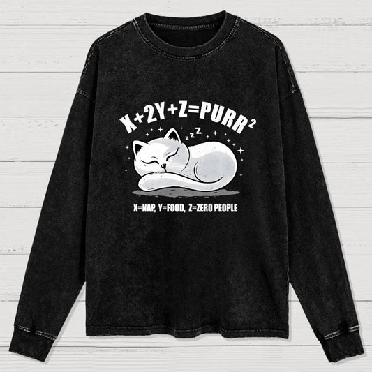 Purrfect Equation Washed Long Sleeve Tee