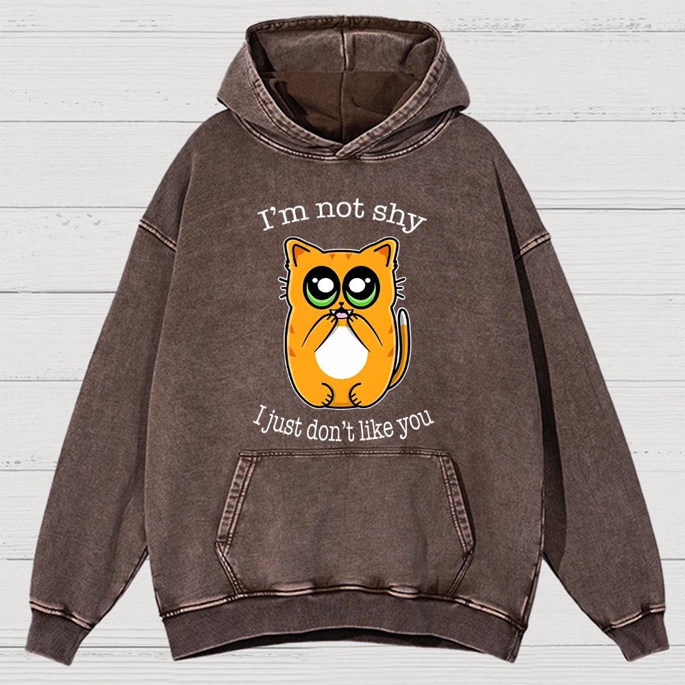 Not Shy Vintage Distressed Hoodie