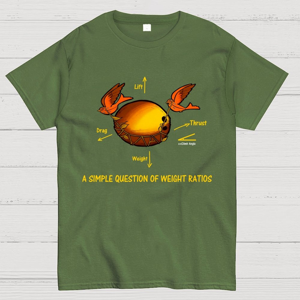 A Simple Question Of Weight Ratios Geek T-Shirt