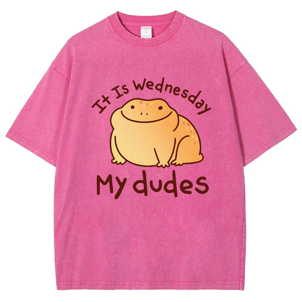 It's Wednesday My Dudes Vintage Distressed T-shirt