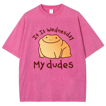 It's Wednesday My Dudes Vintage Distressed T-shirt