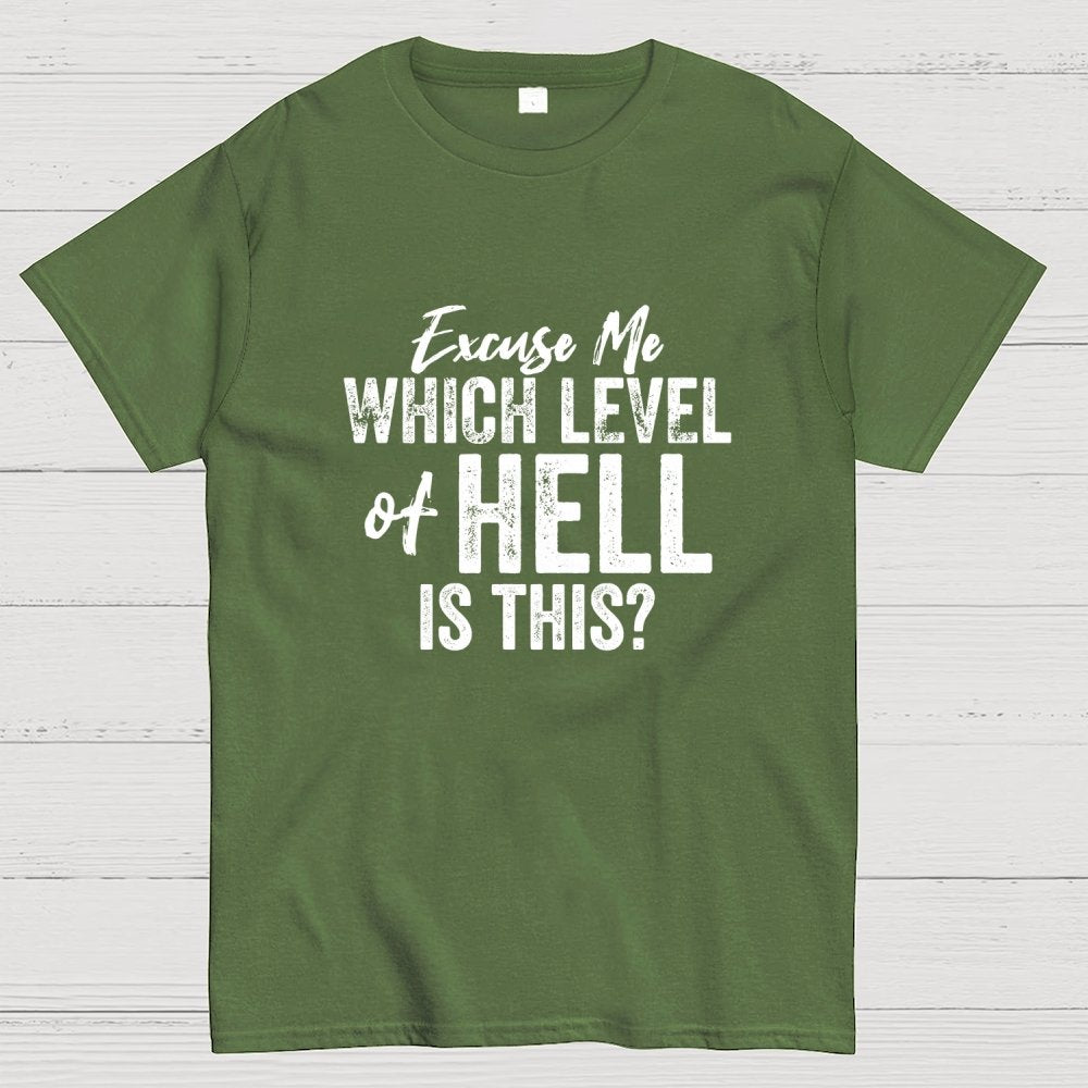 Excuse Me Which Level of Hell is This？Geek T-Shirt