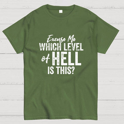 Excuse Me Which Level of Hell is This？Geek T-Shirt