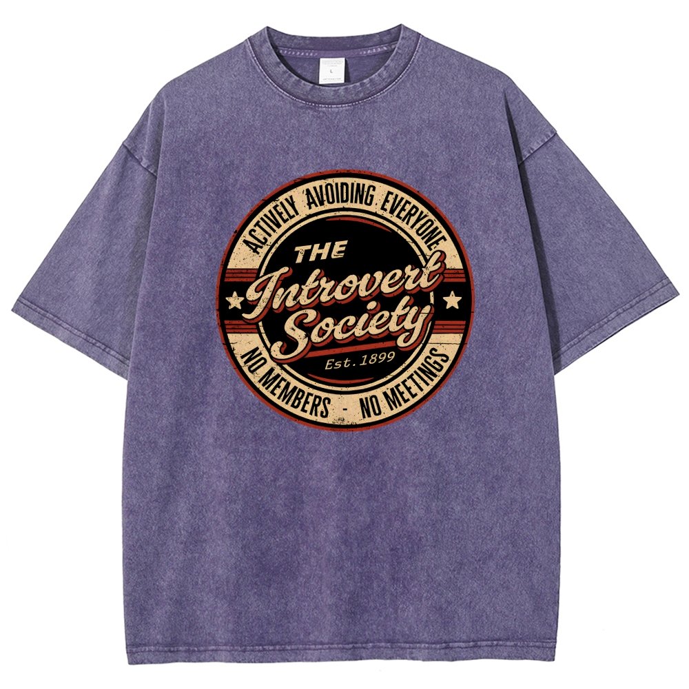 The Introvert Society Vintage Distressed T-shirt