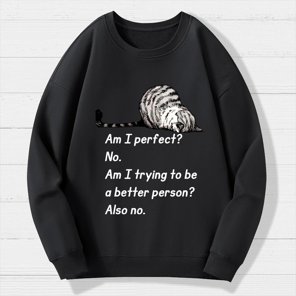 Am I Perfect No Geek Cotton Sweatshirt