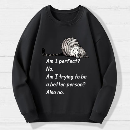 Am I Perfect No Geek Cotton Sweatshirt