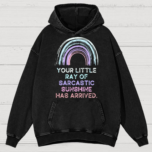 Your Little Ray of Sarcastic Sunshine Has Arrived Vintage Distressed Hoodie