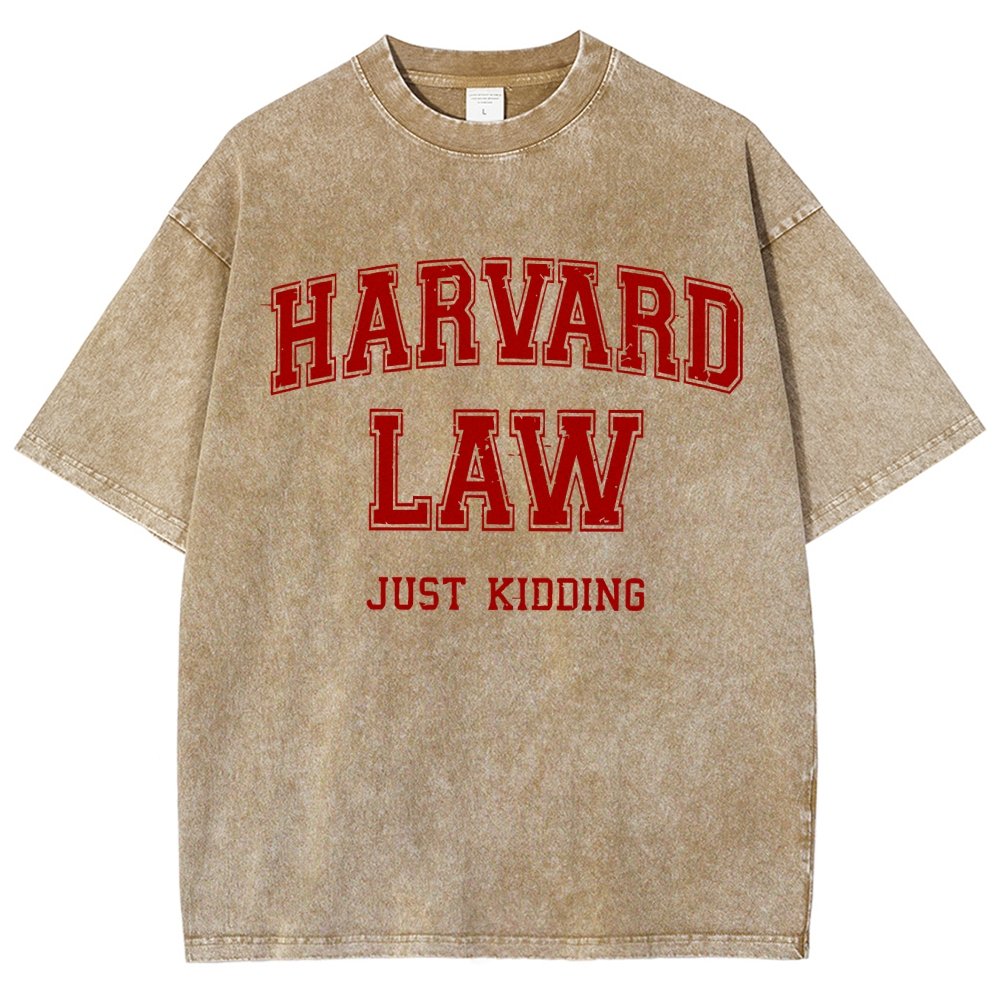 Harvard Law (Just Kidding)  Vintage Distressed T-shirt