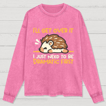 Dramatic Hedgehog Washed Long Sleeve Tee