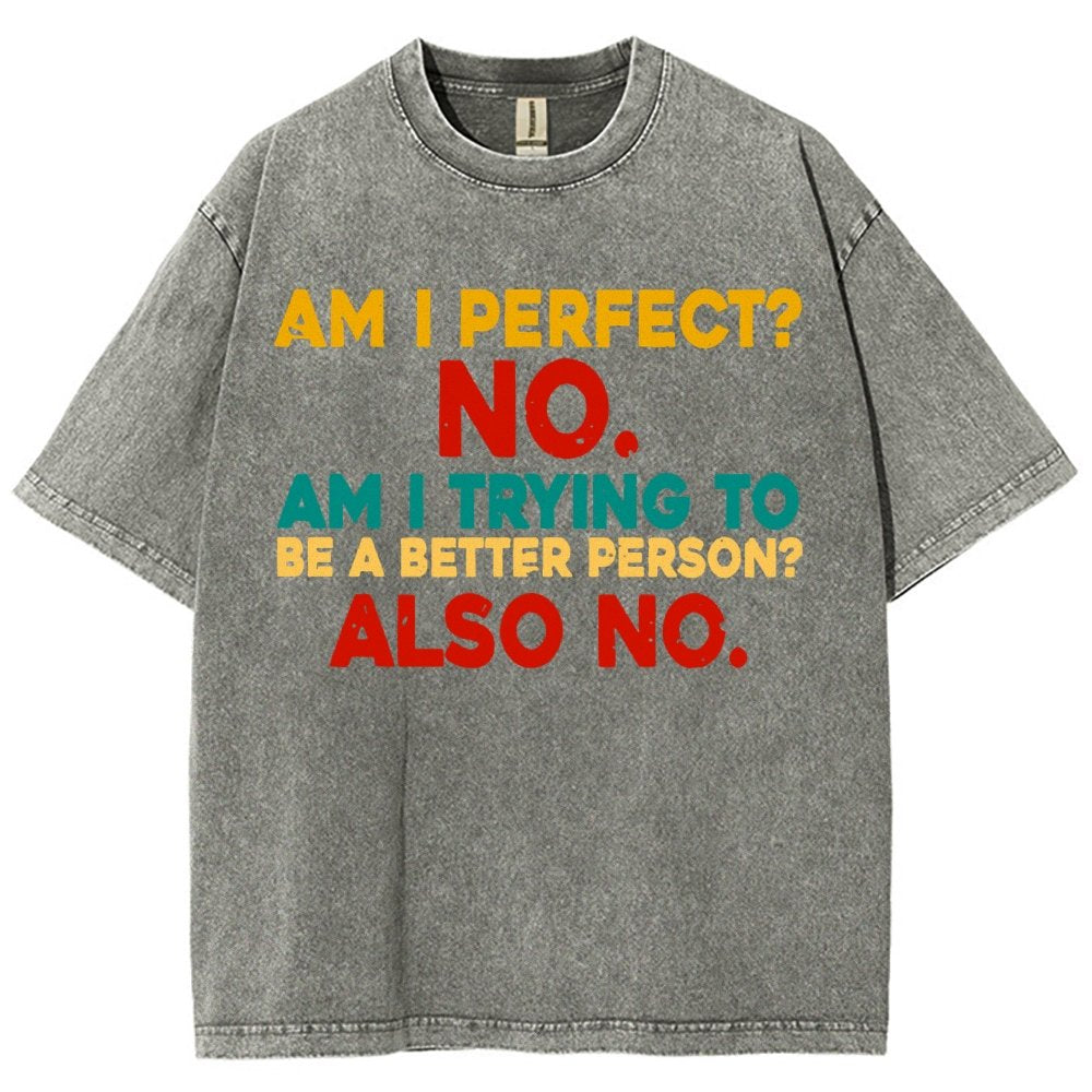 Am I Perfect No Am I Trying To Be A Better Person Also No Funny Quote Vintage Distressed T-shirt