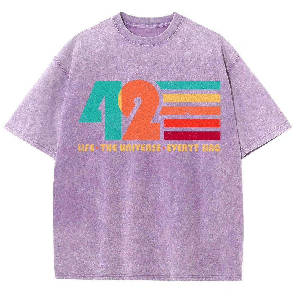 The Answer Is 42 Vintage Distressed T-shirt