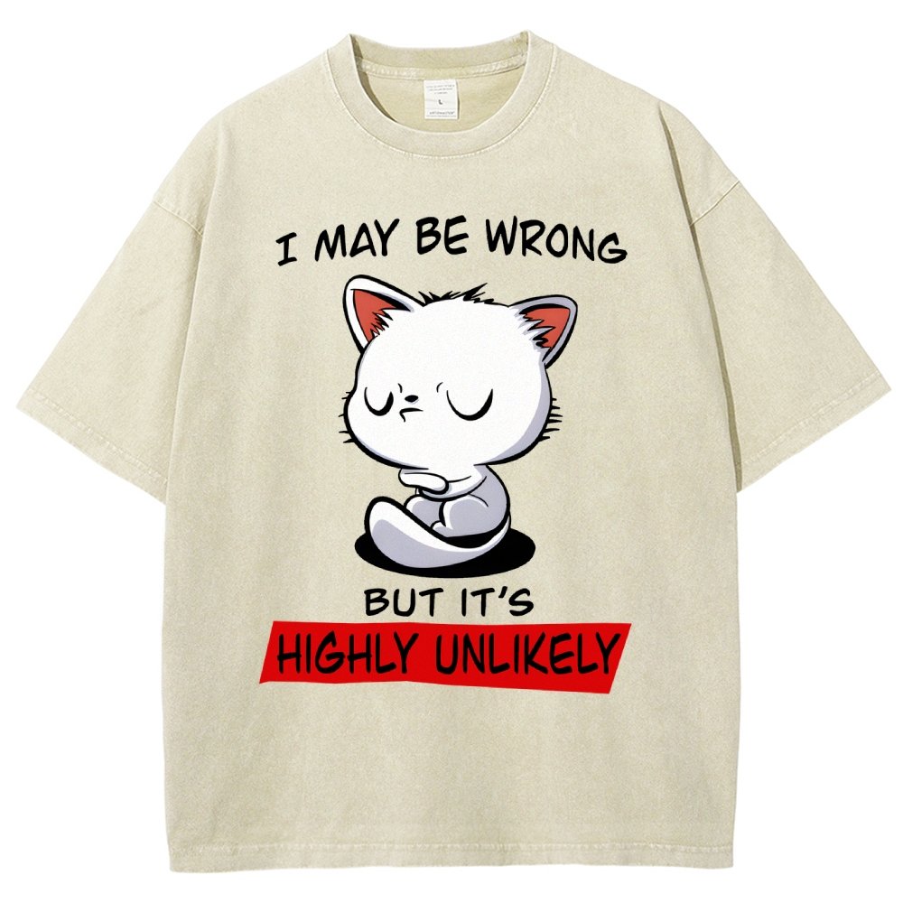 I May Be Wrong Vintage Distressed T-shirt
