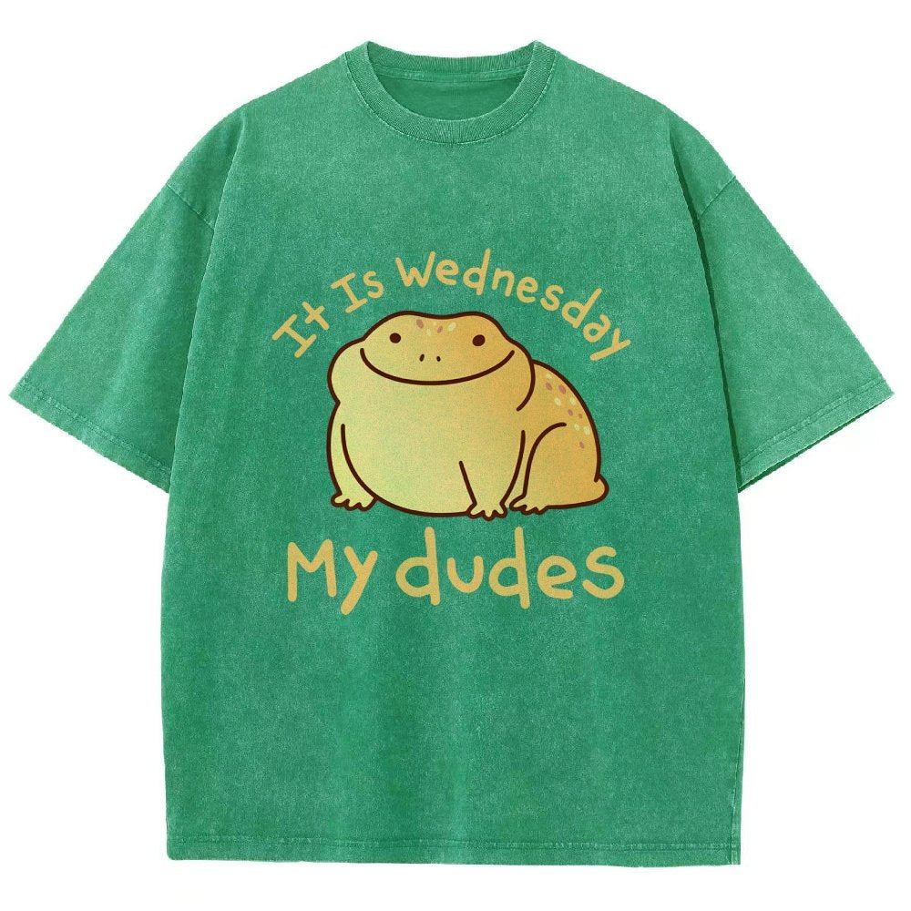 It's Wednesday My Dudes Vintage Distressed T-shirt