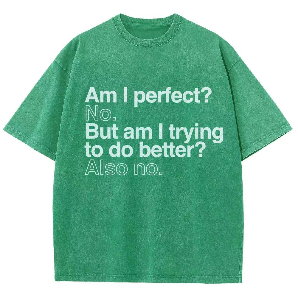 Am I Perfect? No. Am I Trying To Be Better Person Vintage Distressed T-shirt