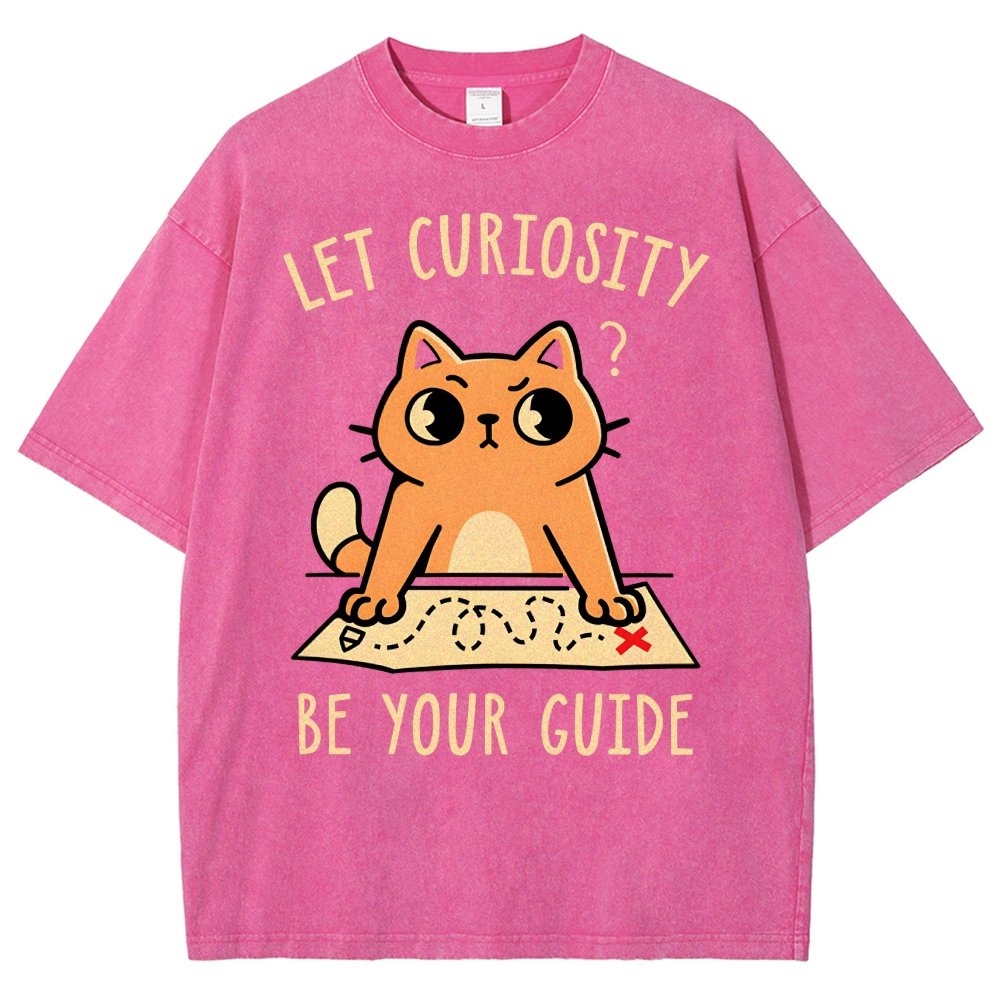 Let Curiosity Be Your Guide Vintage Distressed T-shirt