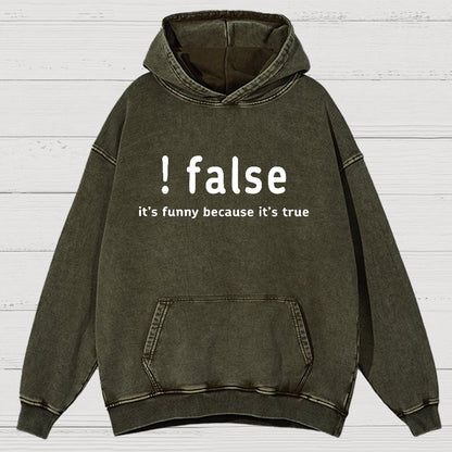 False It's Funny Because It's True Vintage Distressed Hoodie