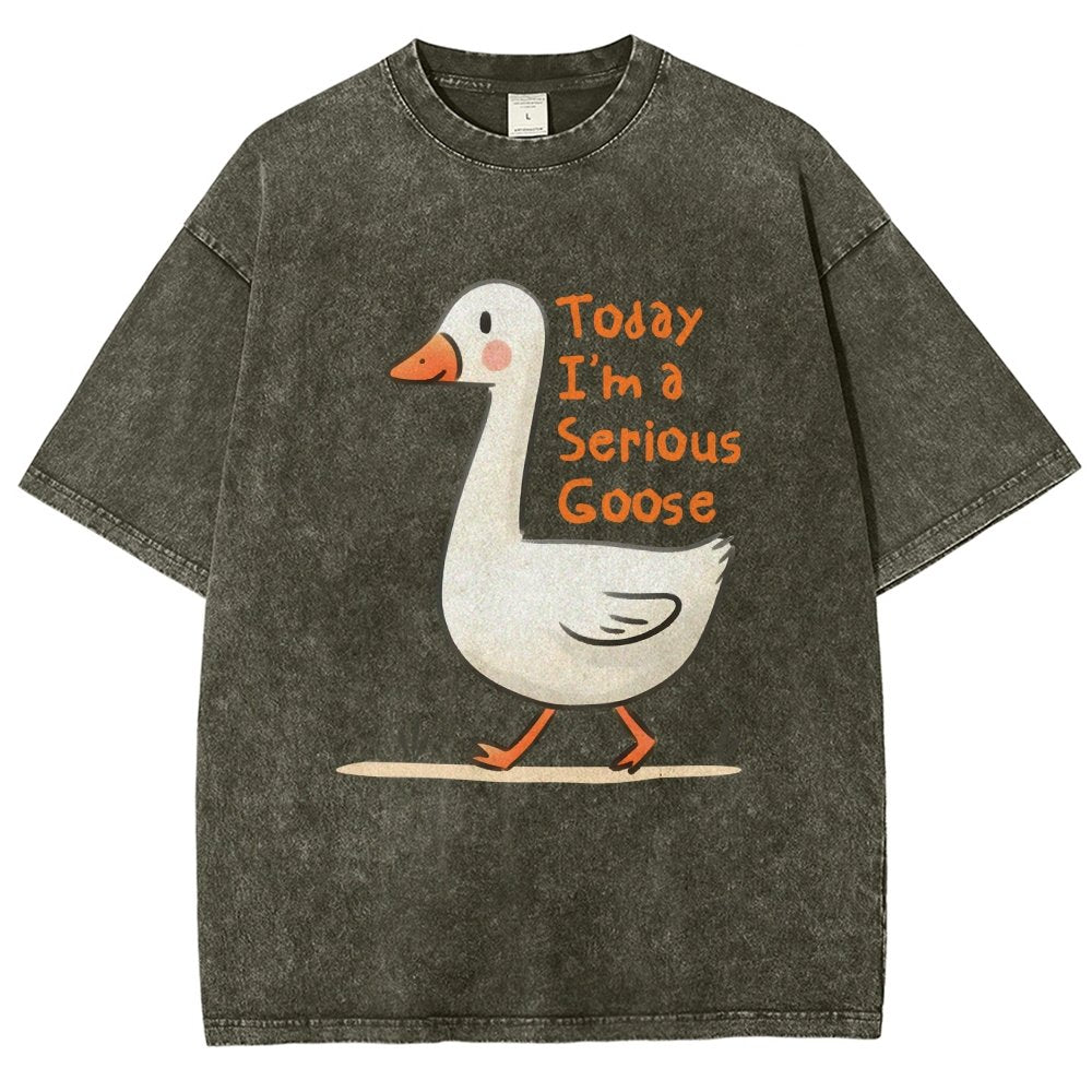 Today I’m A Serious Goose Vintage Distressed T-shirt