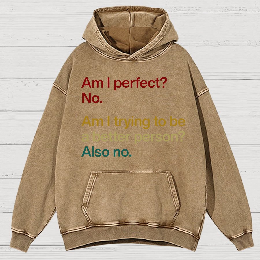 Am I Perfect ？No.Vintage Distressed Hoodie