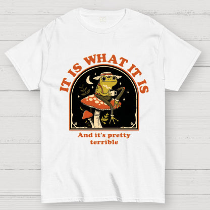 It Is What It Is And It's Pretty Terrible Geek T-Shirt