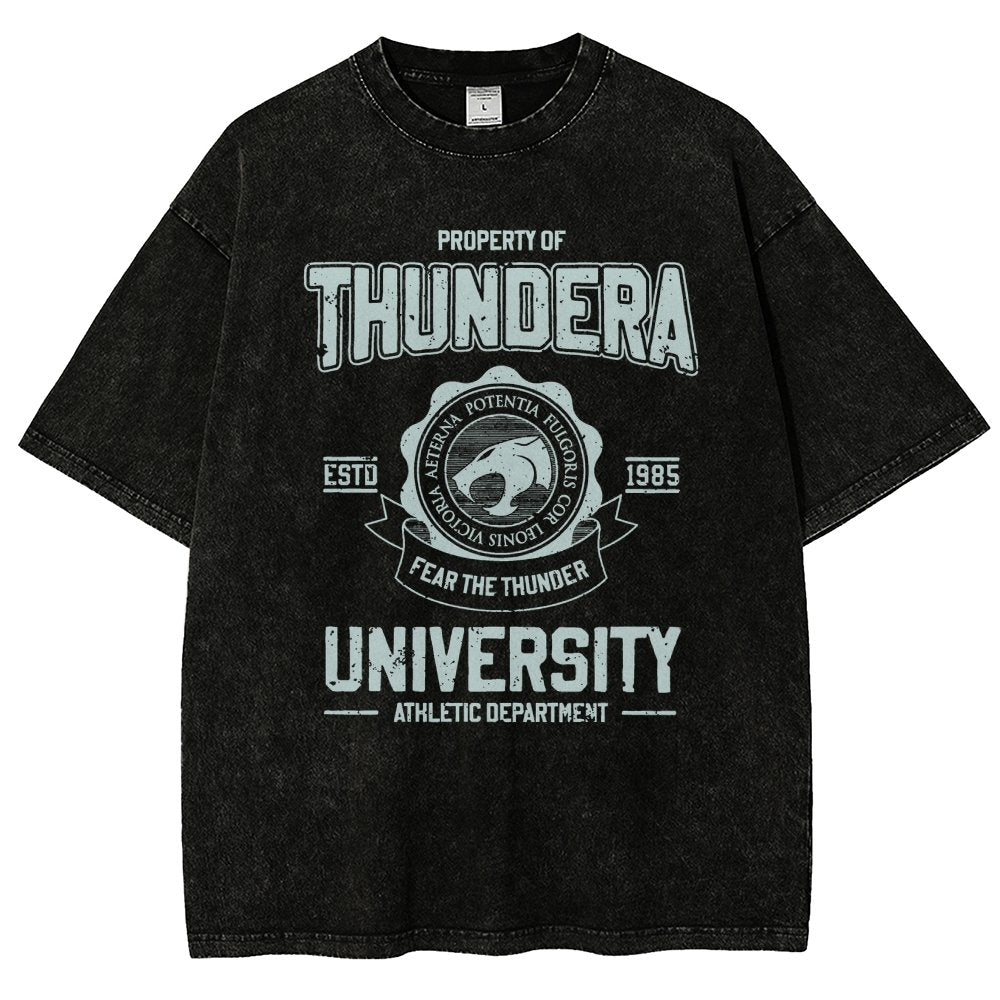 Mystic Valley University Vintage Distressed T-shirt