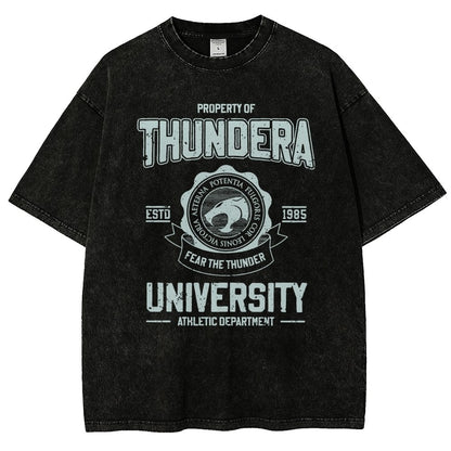 Mystic Valley University Vintage Distressed T-shirt