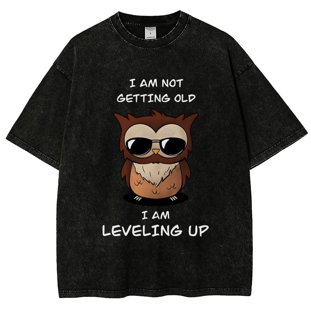 Leveling Up Vintage Distressed T-shirt