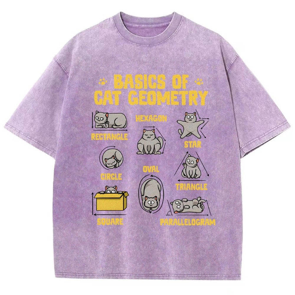 Basics of Cat Geometry Vintage Distressed T-shirt