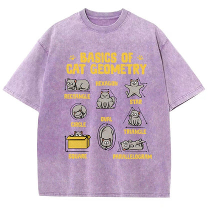 Basics of Cat Geometry Vintage Distressed T-shirt