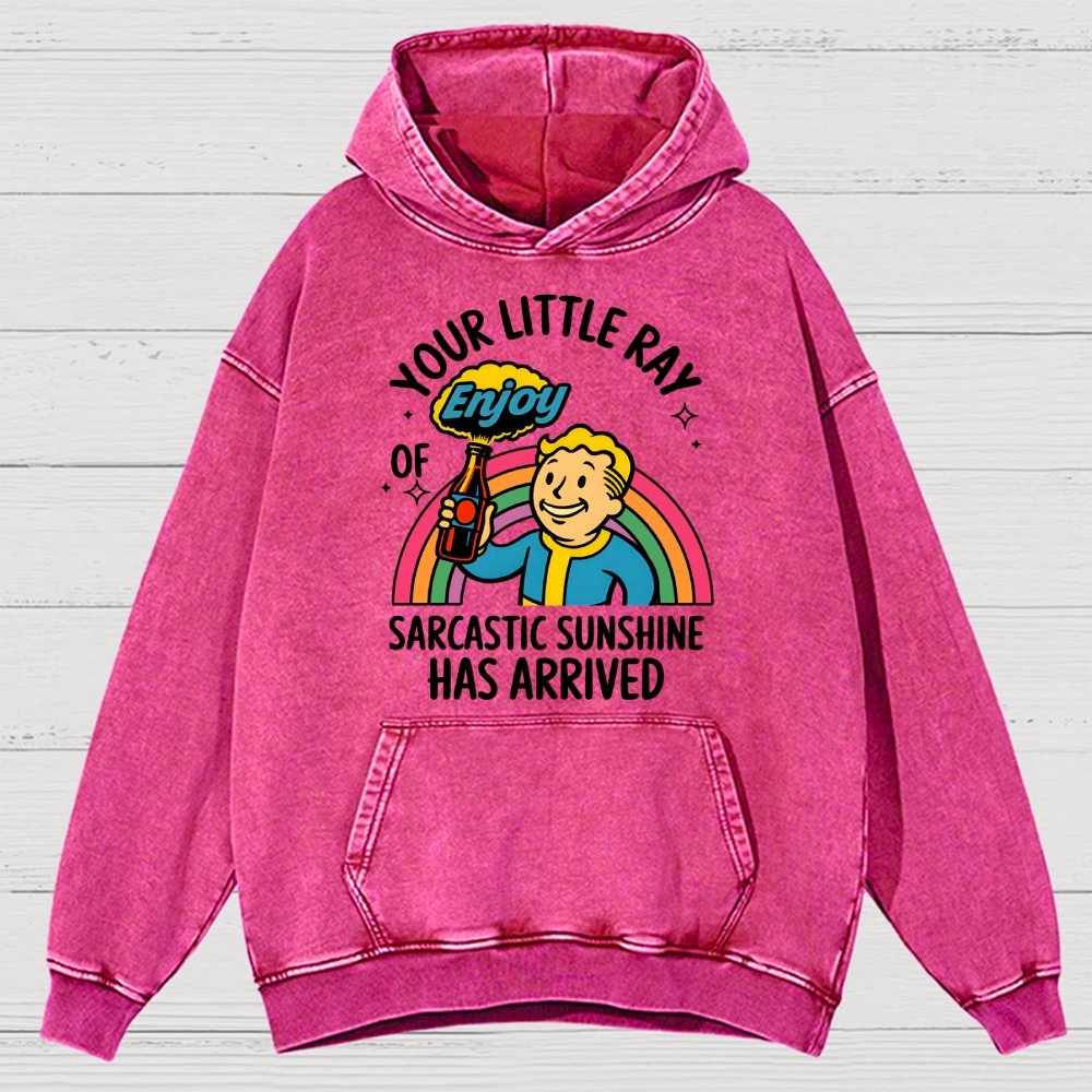 Your Little Ray Of Sarcastic Sunshine Has Arrived Vintage Distressed Hoodie