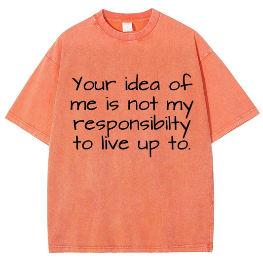 Your Idea Of Me Is Not My Resposibility To Live Up To Vintage Distressed T-shirt