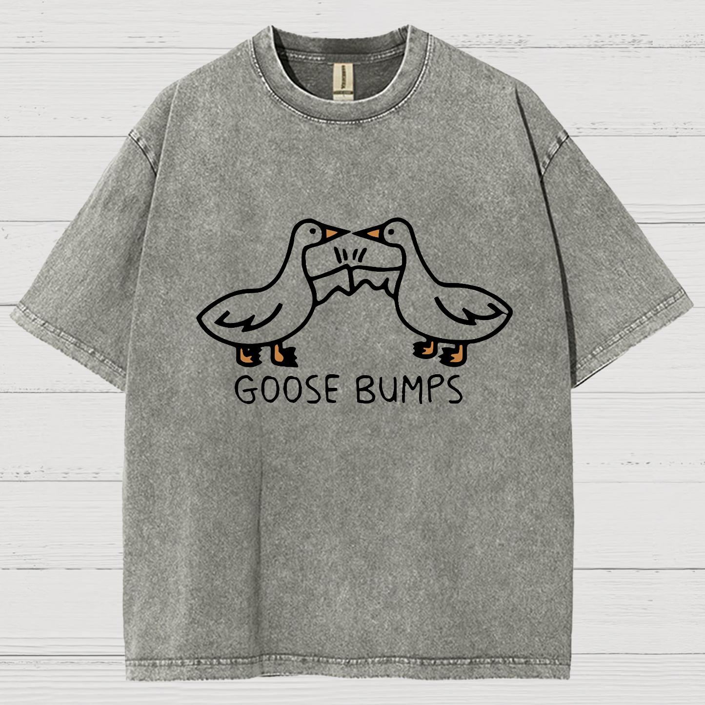 Goose Bumps Vintage Distressed T-shirt