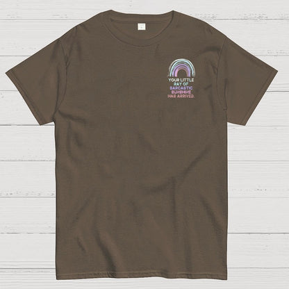 Your Little Ray of Sarcastic Sunshine Has Arrived Front And Back Printing Geek T-Shirt