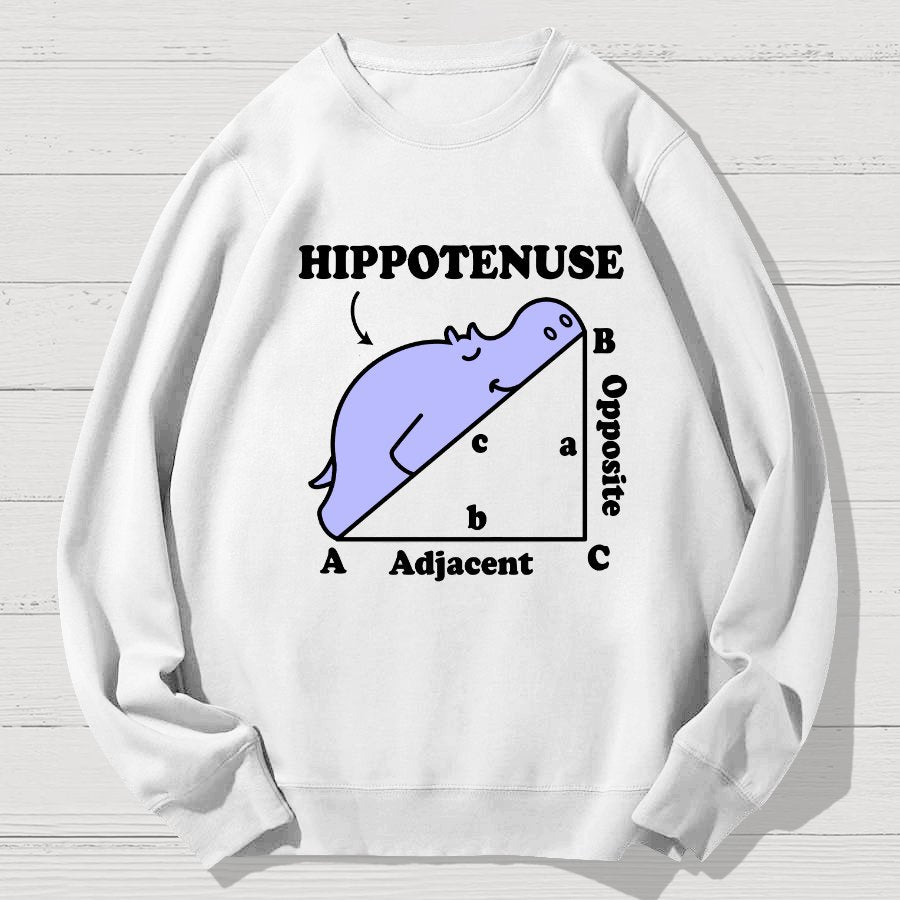 Hypotenuse Math Pun, Hippotenuse Essential Geek Cotton Sweatshirt
