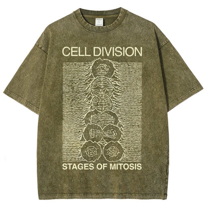Cell Division- Stages of Mitosis Vintage Distressed T-shirt