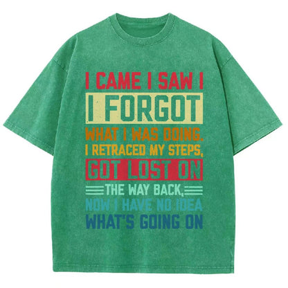 I Came I Saw I Forgot What I Was Doing Sarcastic Vintage Distressed T-shirt