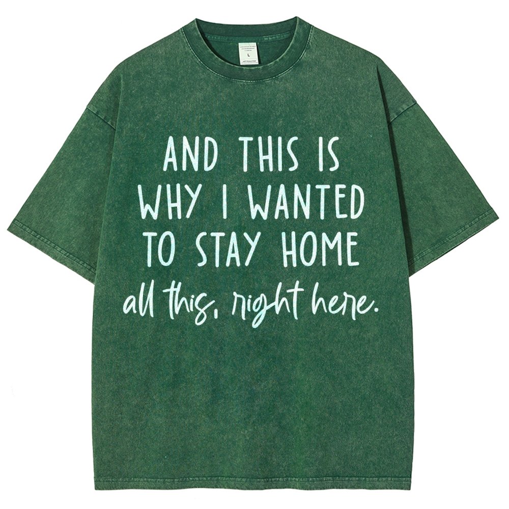 Sarcastic Introvert And This Is Why I Wanted To Stay Home Vintage Distressed T-shirt