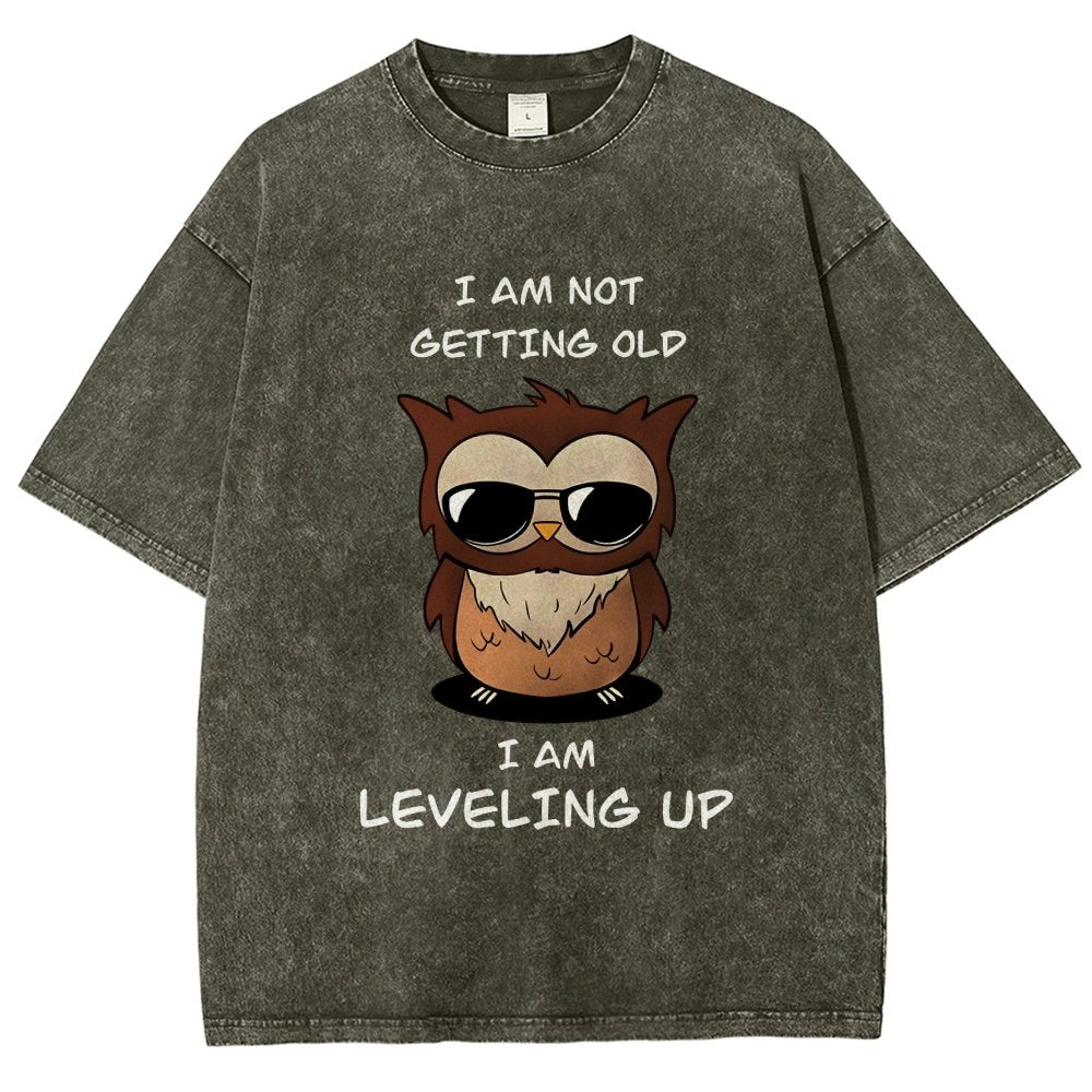 Leveling Up Vintage Distressed T-shirt